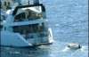 Появились снимки яхты с захваченными украинцами (ФОТО)
