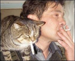 Господар навчив свого кота палити (ФОТО)