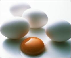 Чем грозит чрезмерное употребление яиц
