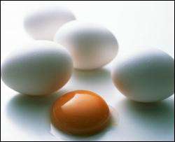 Чим загрожує надмірне вживання яєць