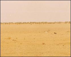 Сахара перетворювалася на пустелю набагато повільніше, ніж передбачалося