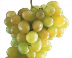 Чим корисний виноградний сік