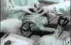 Секретные снимки НЛО, упавшего в СССР в 1969 году (ФОТО)