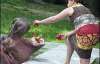 В зоопарке праздновали 50-летие бегемотихи Бресты