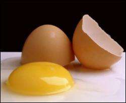 Курячі яйця активізують мозок