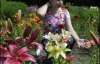 Сотни лилий расцвели в Национальном ботаническом саду