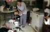 Китаянка держит у себя дома 250 кошек и собак (ФОТО)