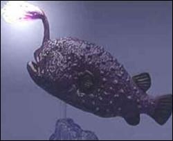 Глибоководну рибу піймали на рекордній глибині