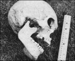 В Грузии найден скелет 3-х метрового человека