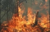 Впервые за 10 лет на Харьковщине загорелся лес