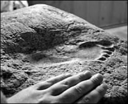 На Полтавщине нашли уникальный камень с отпечатком ноги возрастом 20 млн лет 