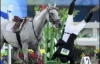 Массовые падения с лошадей на Олимпиаде (ФОТО)