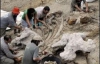 В Іспанії знайдено скелет величезного динозавра (ФОТО)