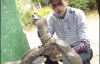 Разбили 150-килограммовую черепаху