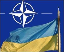 Украина не готова к членству в НАТО - эксперт