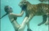 Американські дресирувальниці плавають з тиграми (ФОТО)