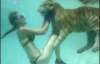 Американские дрессировщицы плавают с тиграми (ФОТО)