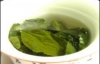 Зеленый чай может быть опасен для здоровья