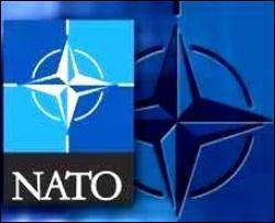 В Украине стартует СМС-викторина по НАТО