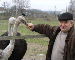 Павло Селецький зробив бізнес на розведенні страусів