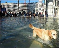 В Венеции началось сильнейшее за 30 лет наводнение