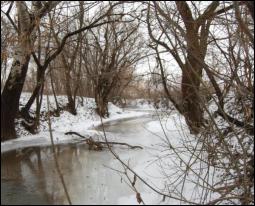 В Україну повертаються морози