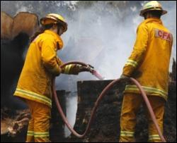 Количество погибших в пожарах австралийцев может увеличиться до 300 человек