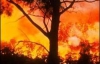 В Австралії в лісових пожежах загинули 200 осіб