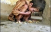 В Сумской области родители заморили голодом троих детей