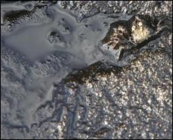 В Одесской области в Дунае обнаружено нефтяное пятно длиной  1,5 км
