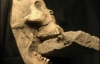Ученые нашли скелет вампира (ФОТО)