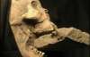 Ученые нашли скелет вампира (ФОТО)