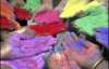 На улицах Индии прохожих обливали краской (ФОТО)
