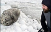 Николай Маковий везет в Антарктиду 4-килограммовый кусок сала