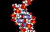 Ученые сравнили ДНК человека и животного - 50% подобия