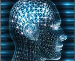 Что необходимо организму для повышения IQ