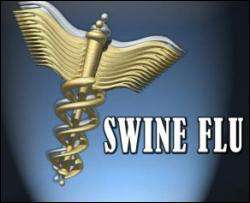 Свинячому грипу майже привласнили статус пандемії