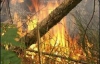 В Житомирской области выгорело 550 га заповедника