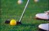 В Киеве будут играть в гольф на шпильках