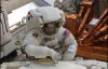 Астронавты отремонтировали телескоп в открытом космосе