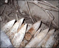 Четверо детей подорвались на боеприпасе