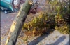 ДТП в столице: в столкновении Mazda с деревом погибли 2 человека 
