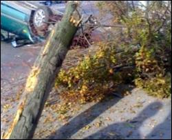 ДТП у столиці: у зіткненні Mazda з деревом загинуло 2 людини