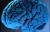 Ученые доказали, что мозг имеет неограниченный потенциал роста 