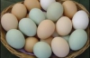 17-річна мачуха вбила малюка через куряче яйце