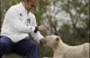 Чемпионы мира поз футболу забавлялись с львятами (ФОТО)