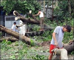 В результате тропического шторма на Филиппинах погибли 5 человек