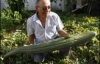 Ізраїльтянин виростив найдовший огірок (ФОТО)