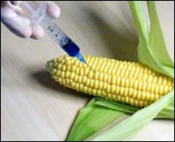 Ветеринарна міліція почне контролювати ГМО у продуктах