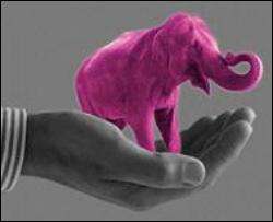 Кияни подарують Черновецькому рожевого слона